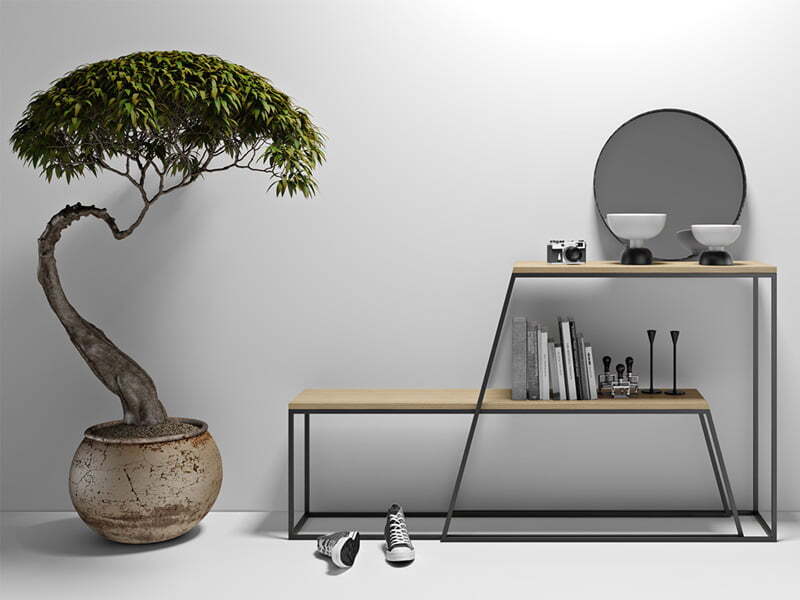 Консоль в вашем доме. Есть ли в ней необходимость.