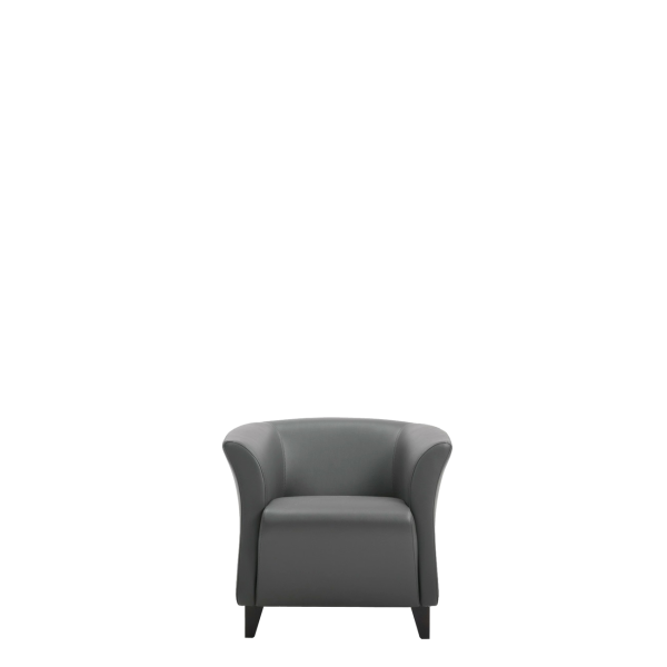 Кресло офисное Модус (С-23) (Черный)