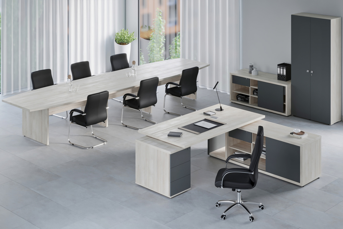 Кабинет руководителя Zion