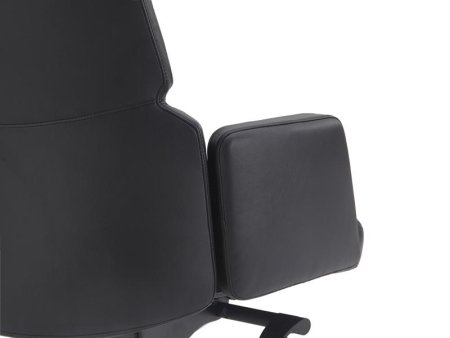 Кресло Lavoro A2411-1 Черный (Черный)