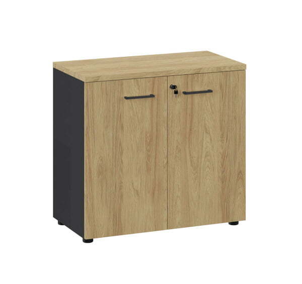 FLEX Шкаф низкий (Гикори Графит/Черный)