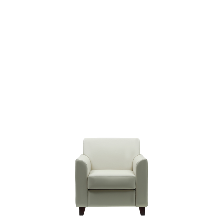 Кресло офисное Дипломат (М-51) (Белый)