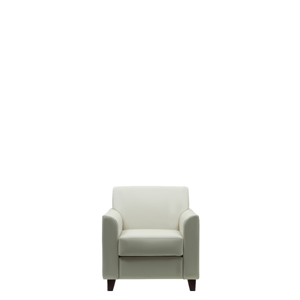 Кресло офисное Дипломат (М-51) (Белый)