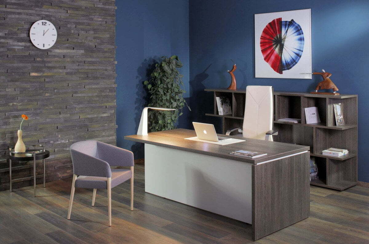 Кабинет руководителя Terra