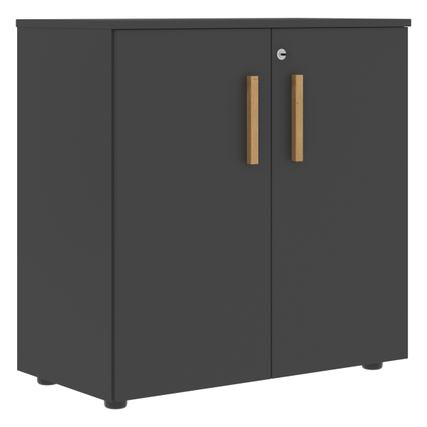 Шкаф с глухими малыми дверьми Forta FLC 80.1(Z) 798x404x801 (Черный графит)