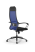 Кресло для руководителя Метта Sit 10 B1-111K - X2+UMF(X1) /Ub00/Wh00/K1bL(M09.B11.G19.W02) (Синий | Черный)
