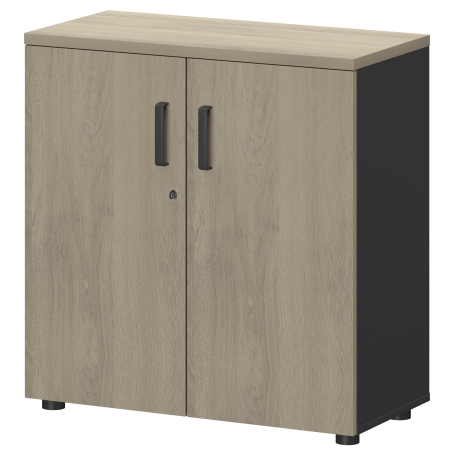 Шкаф Смарт СМШ-28Д Тип2 792x380x1214 (Графит/Кронберг)